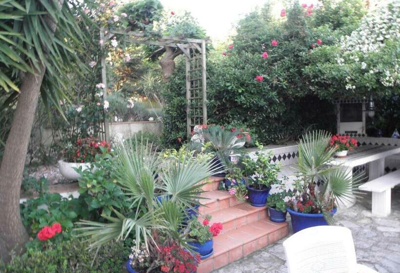 פנסיון Villa Ingrid