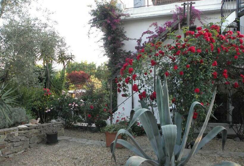 פנסיון Villa Ingrid