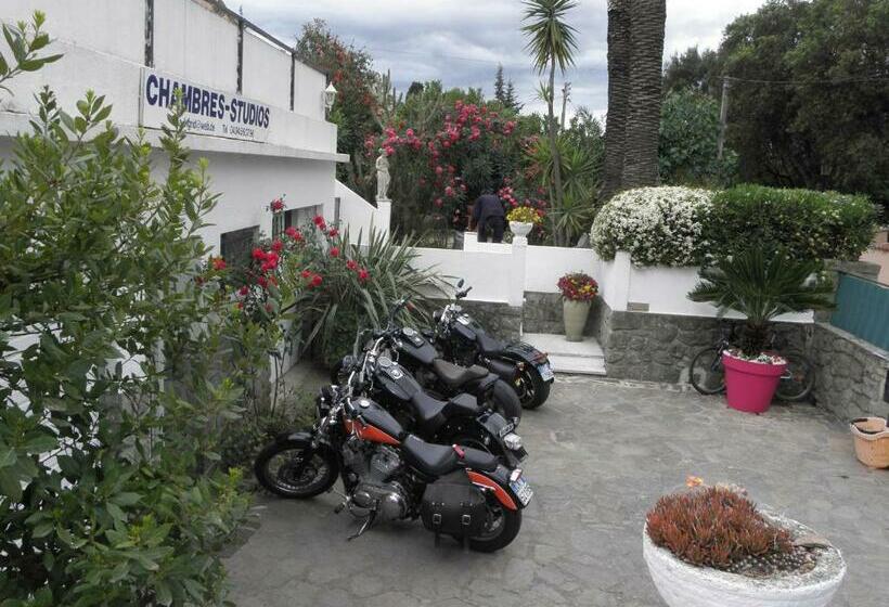 פנסיון Villa Ingrid