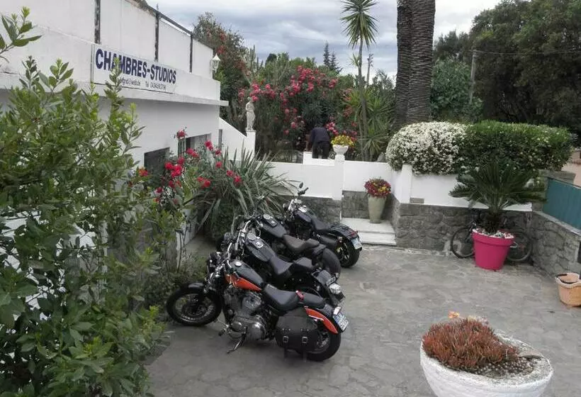Pension  Villa Ingrid