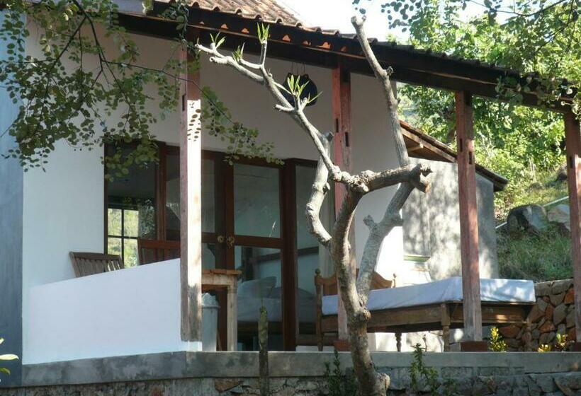 ペンション Wawa Wewe Rock