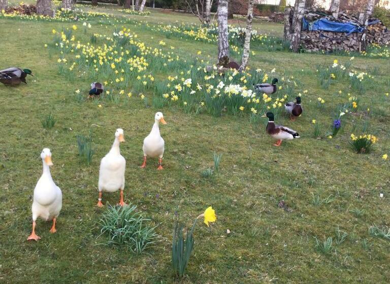 צימר Résidence Clairbois, Chambres D Hôtes