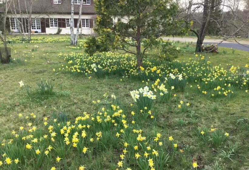 Aamiaismajoitus (B&B) Résidence Clairbois, Chambres D Hôtes