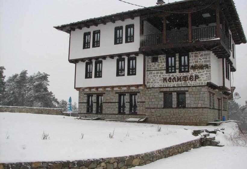 Family Hotel Kalifer