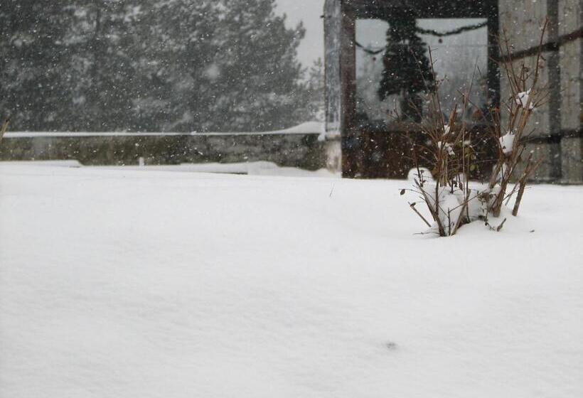 Family Hotel Kalifer