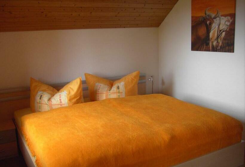 Отель Friesenhof Blank