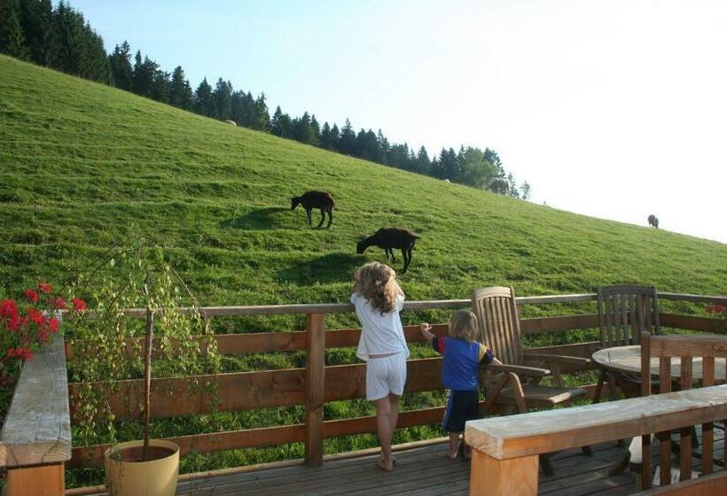 Отель Friesenhof Blank