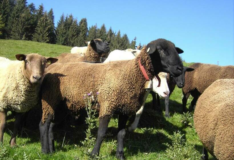 Отель Friesenhof Blank