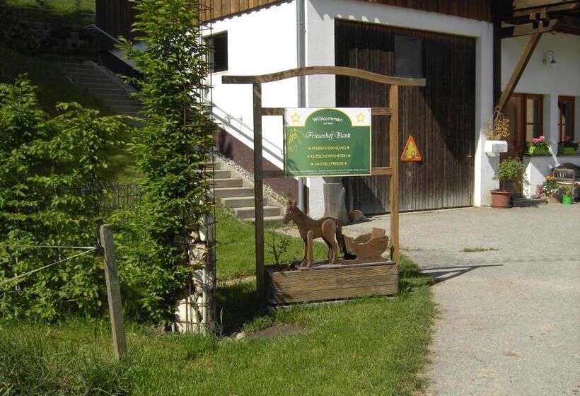 Отель Friesenhof Blank