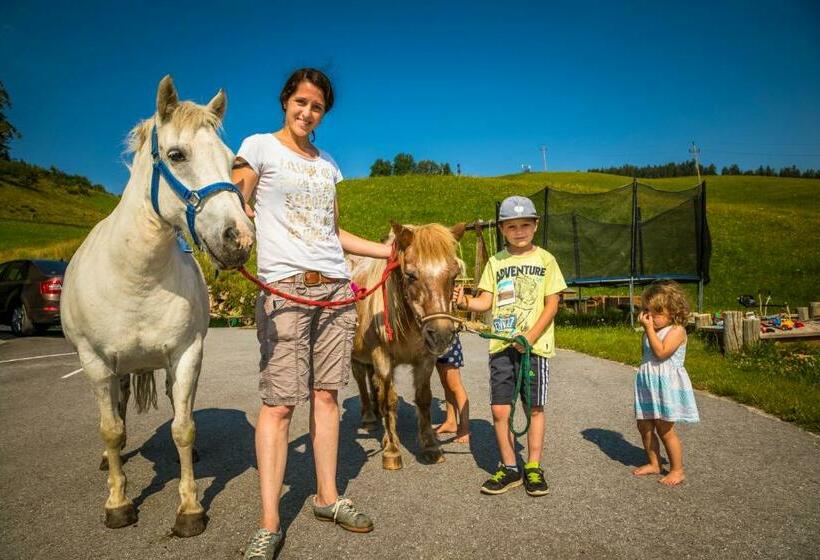בית מלון כפרי Hinteregghof