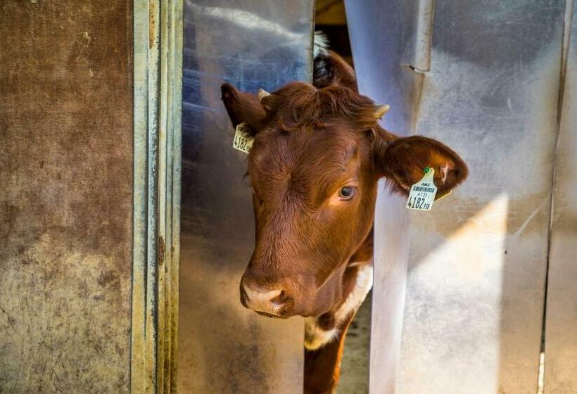 בית מלון כפרי Hinteregghof