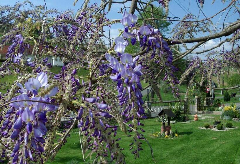 Пансион Gästehaus Anna