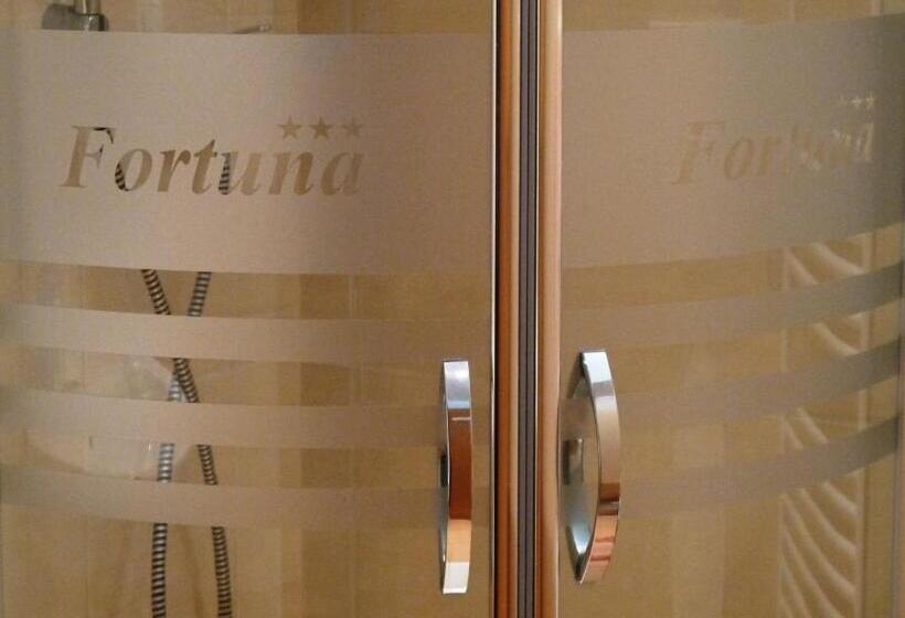 膳宿费 Penzion Fortuna Dudince