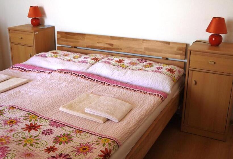 膳宿费 Penzion Fortuna Dudince