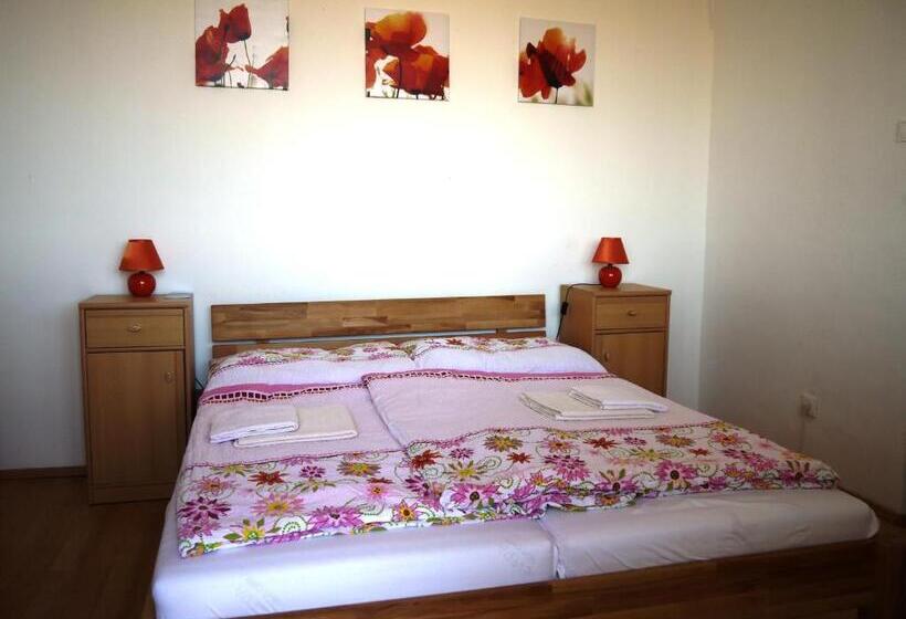 膳宿费 Penzion Fortuna Dudince