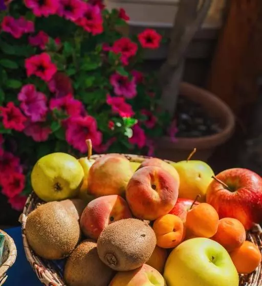 B&b L Albero Dei Limoni