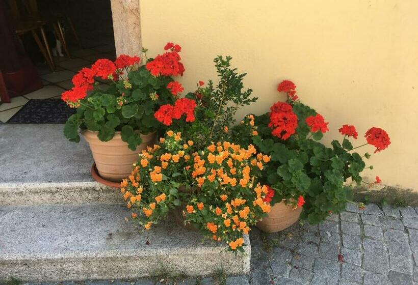 Bed and Breakfast Haus Schlosskeller