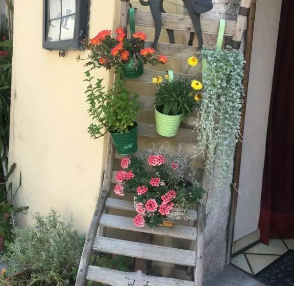 Aamiaismajoitus (B&B) Haus Schlosskeller