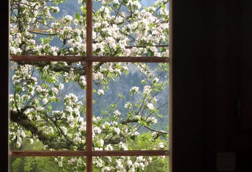 Aamiaismajoitus (B&B) Pension Staldacher