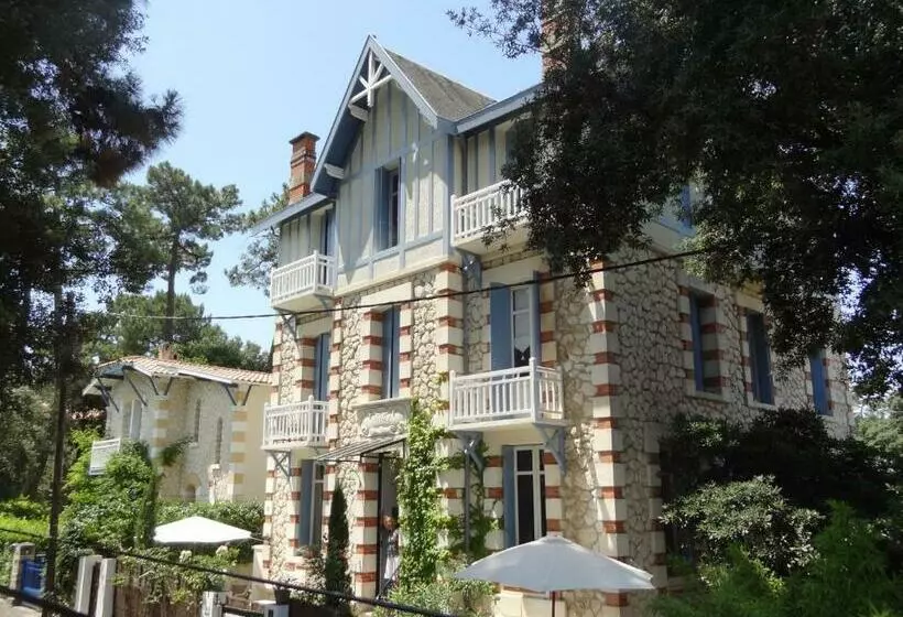 تختخواب و صبحانه Villa Frivole