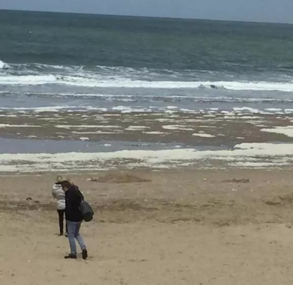 Bed & Breakfast Zeeland