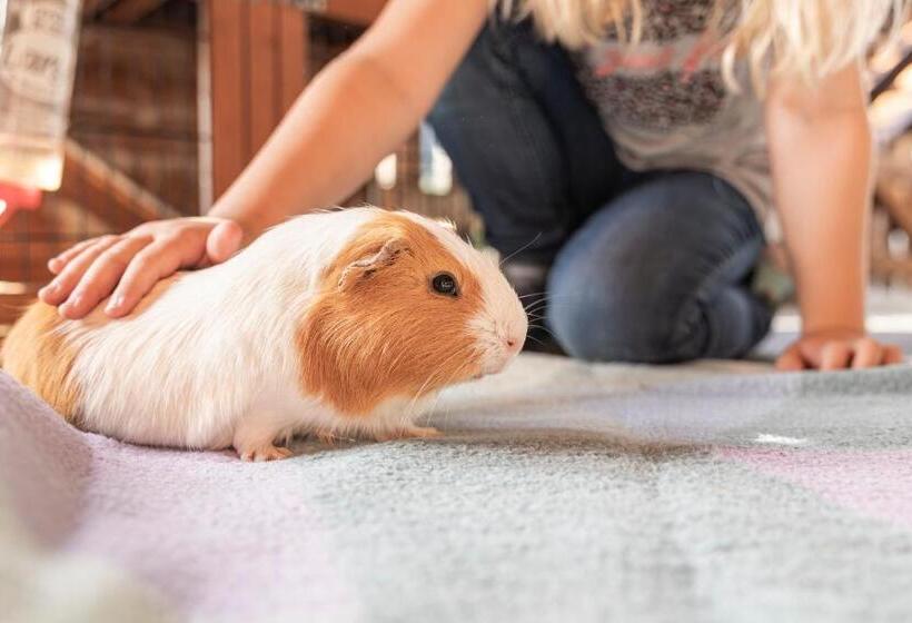 בית מלון כפרי Ausserwieserhof