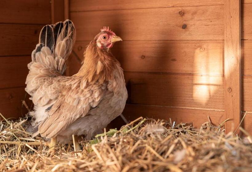 בית מלון כפרי Ausserwieserhof