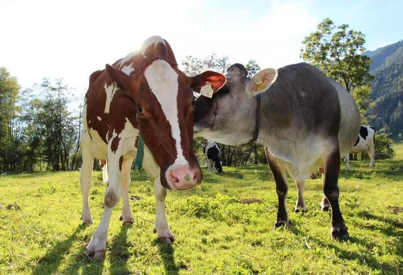 ホテル Ausserwieserhof