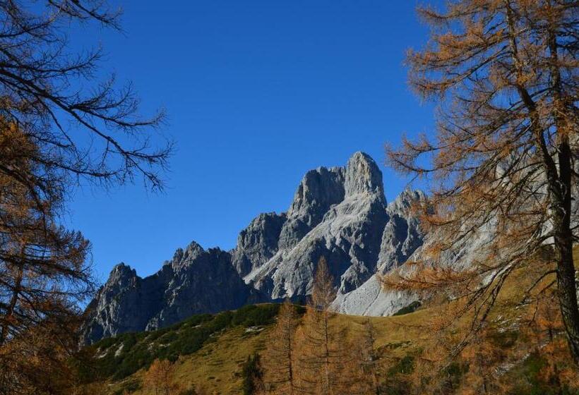 ホテル Bio Bauernhof Nichlgut