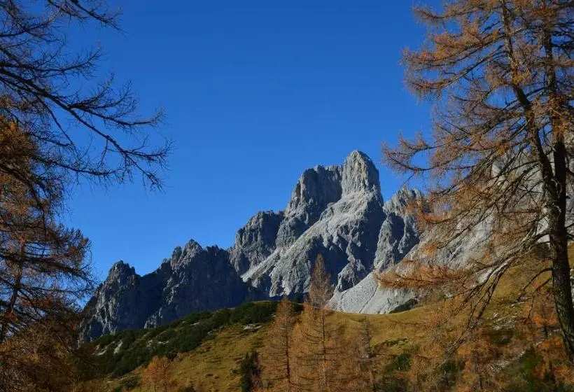 ホテル Bio Bauernhof Nichlgut
