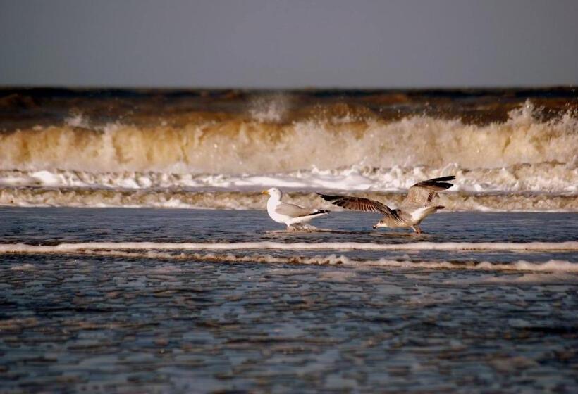هتل / Pension Villa Tanahlot
