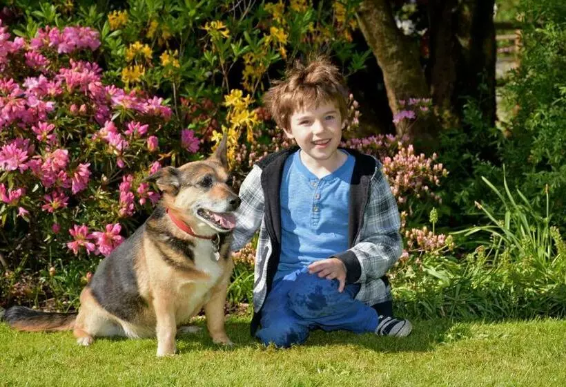 Majatalo Der Eichenhof