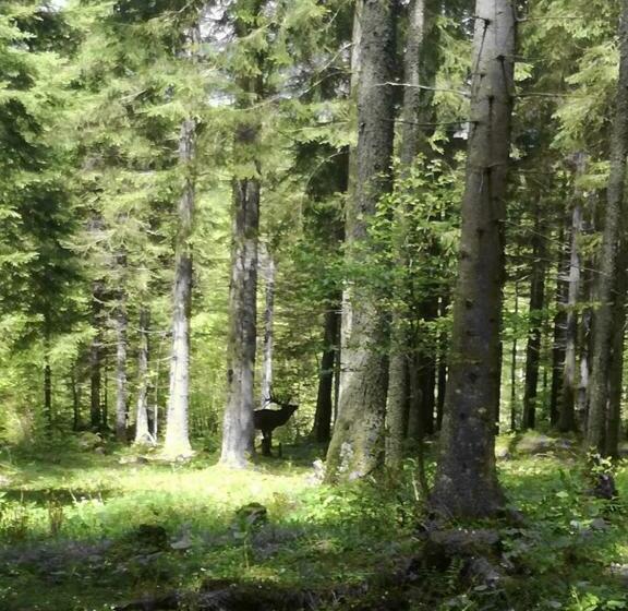 بنسيون Ferienhof Kreilgut