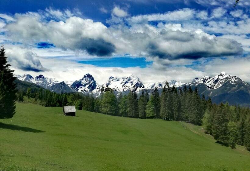 بنسيون Ferienhof Kreilgut