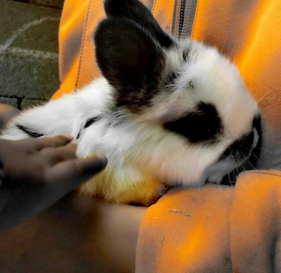 بنسيون Ferienhof Kreilgut