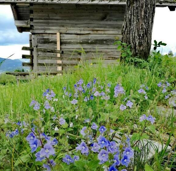 بنسيون Ferienhof Kreilgut