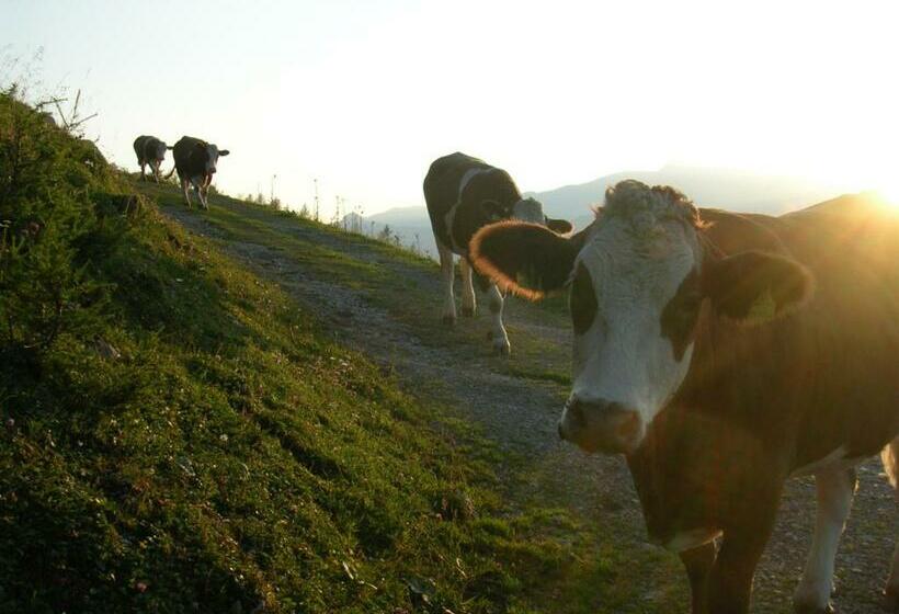 بنسيون Ferienhof Kreilgut