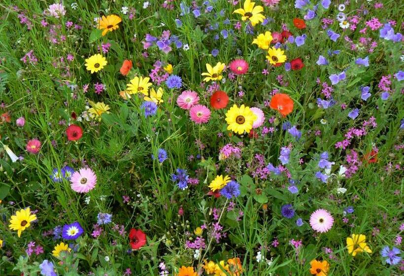 Pensão Gästehaus Kurparkfrieden