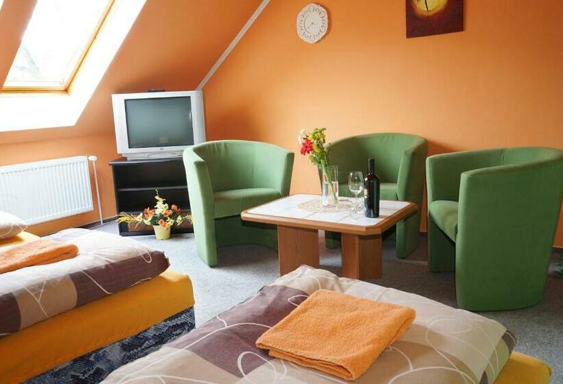 פנסיון Penzion Smile