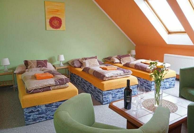 פנסיון Penzion Smile