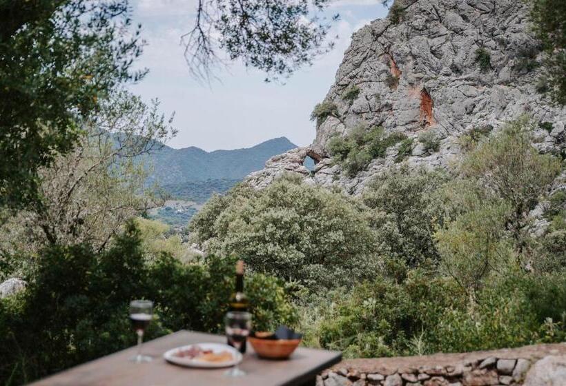 منتجع Los Chozos