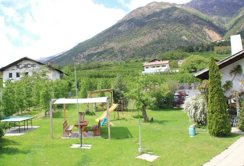 住宿加早餐 Pension Obergrundgut