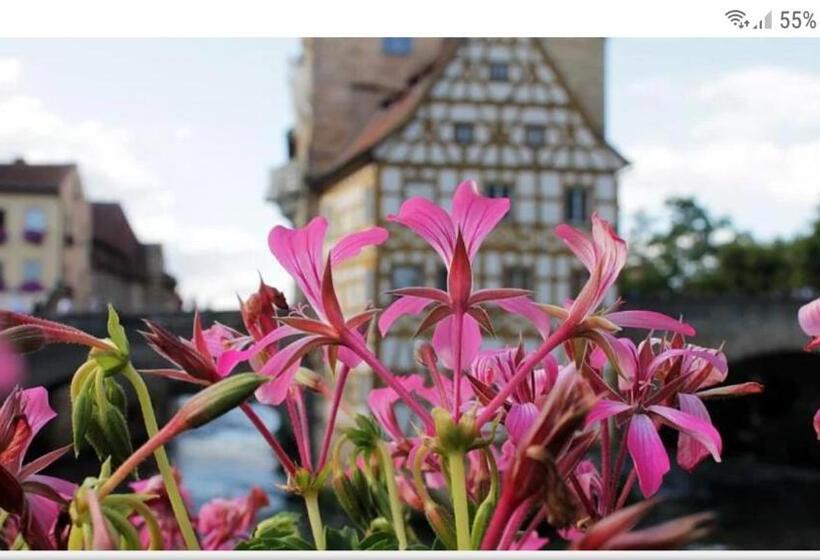 פנסיון Gästehaus Hölle 12