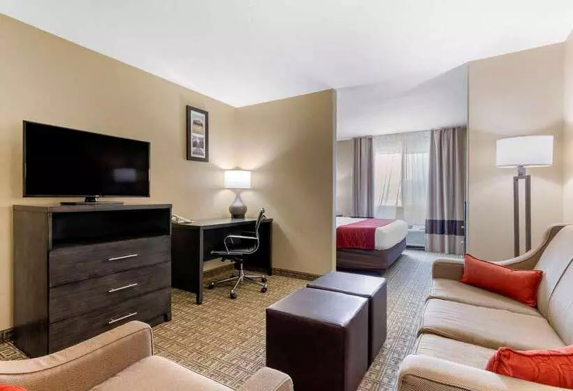 호텔 Comfort Inn & Suites Ponca City Near Marland Mansion