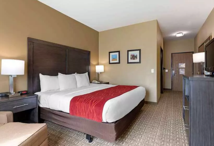 호텔 Comfort Inn & Suites Ponca City Near Marland Mansion