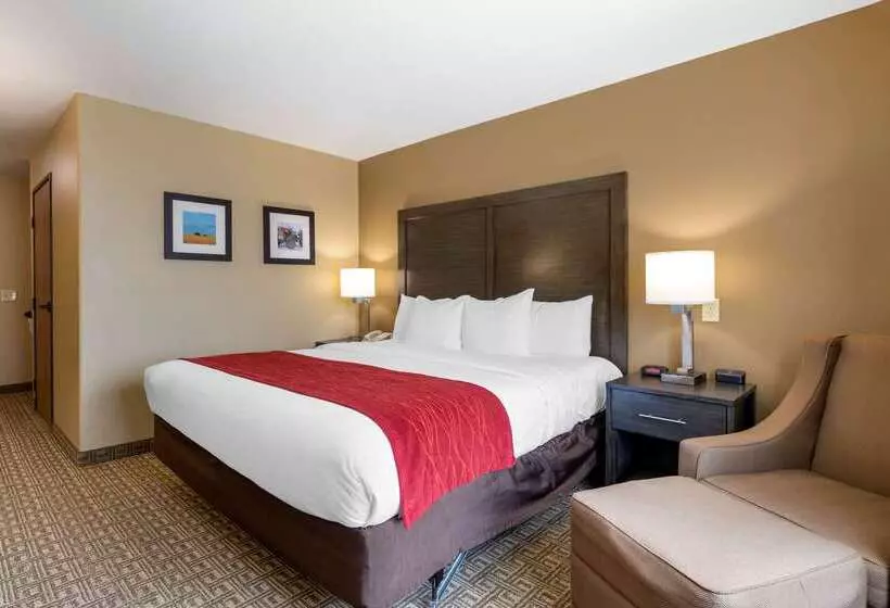 호텔 Comfort Inn & Suites Ponca City Near Marland Mansion