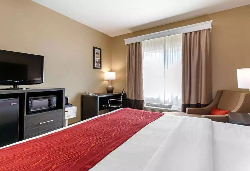 호텔 Comfort Inn & Suites Ponca City Near Marland Mansion