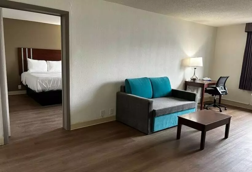 ホテル Econo Lodge Inn & Suites