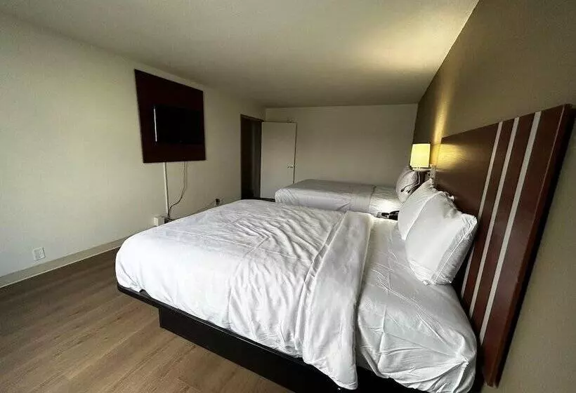 ホテル Econo Lodge Inn & Suites