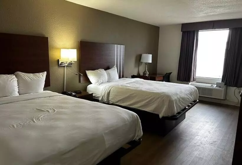 ホテル Econo Lodge Inn & Suites